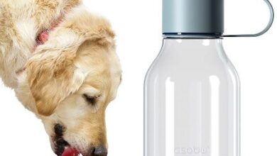 Dog-Bowl-Bottle-Lite